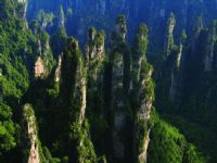 ����ɽ�L(f��ng)��