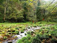 ���Ϫ�L(f��ng)��