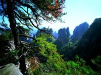 �Sʯկ�L(f��ng)��