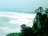 ɭ�ֹ��@�L(f��ng)��