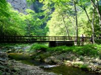 ���Ϫ�L(f��ng)��